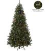 imageNational Tree Company PreLit Artificial Full Christmas Tree North Valley Spruce Dual Color LED Lights Includes Stand 75 Feet Green