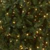 imageNational Tree Company PreLit Artificial Full Christmas Tree North Valley Spruce Dual Color LED Lights Includes Stand 75 Feet Green