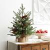 imageNational Tree Company PreLit Feel Real Artificial Mini Christmas Tree Green Nordic Spruce White Lights Flocked with Pine Cones Red Berries Includes Burlap Bag Base 3 Feet2ft