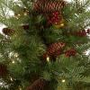 imageNational Tree Company PreLit Feel Real Artificial Mini Christmas Tree Green Nordic Spruce White Lights Flocked with Pine Cones Red Berries Includes Burlap Bag Base 3 Feet2ft