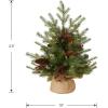 imageNational Tree Company PreLit Feel Real Artificial Mini Christmas Tree Green Nordic Spruce White Lights Flocked with Pine Cones Red Berries Includes Burlap Bag Base 3 Feet2ft