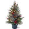 imageNational Tree Company Feel Real Artificial Christmas Decorative Pot  Flocked with Mixed Decorations and White LED Lights  Colonial  2 ft