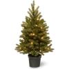 imageNational Tree Company Feel Real Prelit Artificial Christmas Tree For Entrances  Includes Prestrung White LED Lights and Pot Base  Jersey Frasier Fir  3 ft