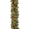 imageNational Tree Company PreLit Artificial Christmas Garland Green Carolina Pine White Lights Decorated with Pine Cones Battery Operated Christmas Collection 9 FeetBattery Operated