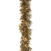 imageNational Tree Company PreLit Artificial Christmas Garland Green Glittery Bristle Pine White Lights Decorated with Pine Cones Battery Operated Christmas Collection 6 Feet