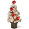 imageNational Tree Company PreLit Artificial Christmas Tree Green Snowy Bristle Pine White LED Lights Decorated with Pine Cones Ball Ornaments Includes Pot Base Battery Operated 24 Inches