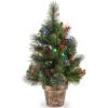 imageNational Tree Company PreLit Artificial Mini Christmas Tree Green Crestwood Spruce Multicolor Lights Decorated with Pine Cones Berry Clusters Frosted Branches Includes Pot Base 2 Feet