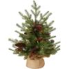 imageNational Tree Company PreLit Feel Real Artificial Mini Christmas Tree Green Nordic Spruce White Lights Flocked with Pine Cones Red Berries Includes Burlap Bag Base 3 Feet2ft