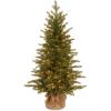 imageNational Tree Company PreLit Feel Real Artificial Mini Christmas Tree Green Nordic Spruce White Lights Includes Burlap Bag Base 3 Feet4ft