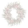 imageHGTV Home Collection PreLit Christmas by The Sea Coral Artificial Wreath PreStrung with Warm White LED Lights Battery Operated with Timer HGTV Home Collection Coral 30in