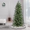 imageHGTV Home Collection PreLit Artificial Slim Balsam Tree with PowerConnect LED Lights Hinged Branches Plug in 75ft