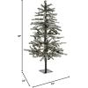 imageHGTV Home Collection PreLit Snowy Quinn Valley Snowy Pinecone Tree Green with Clear Incandescent Lights Plug in 3ft