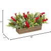 imageNational Tree Company HGTV Home Collection Artificial Christmas Plant Arrangement Mixed Branch Tips Decorated with Green Leaves Red Berry Clusters Pine Cones Includes Wooden Base 12 Inches