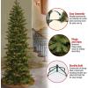 imageNational Tree Company Prelit Artificial Christmas Tree  Includes Prestrung White Lights and Stand  Prescott Pencil Slim  75 ft7ft 6in