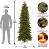 imageNational Tree Company Prelit Artificial Christmas Tree  Includes Prestrung White Lights and Stand  Prescott Pencil Slim  75 ft7ft 6in