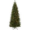 imageNational Tree Company Prelit Artificial Christmas Tree  Includes Prestrung MultiColor LED Lights and Stand  Lehigh Valley Pine Slim  75 ft