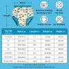 imageBIG ELEPHANT 6Pack Potty Training Pants  100 Cotton Absorbent Toddler Underwear for Boys and Girls 12M10YWhite Dinosaur