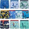 imageBIG ELEPHANT Boys Boxer Briefs 10Pack Toddler 100 Cotton Dinosaur Print Underwear Soft and Breathable Sizes 3T10YBlue Dinosaur