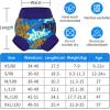 imageBIG ELEPHANT Baby Swim Diapers 3pcs Reusable Adjustable Washable Waterproof Swimming Diaper for Boys and Girls 6Months  5 YearsCyan Lizard
