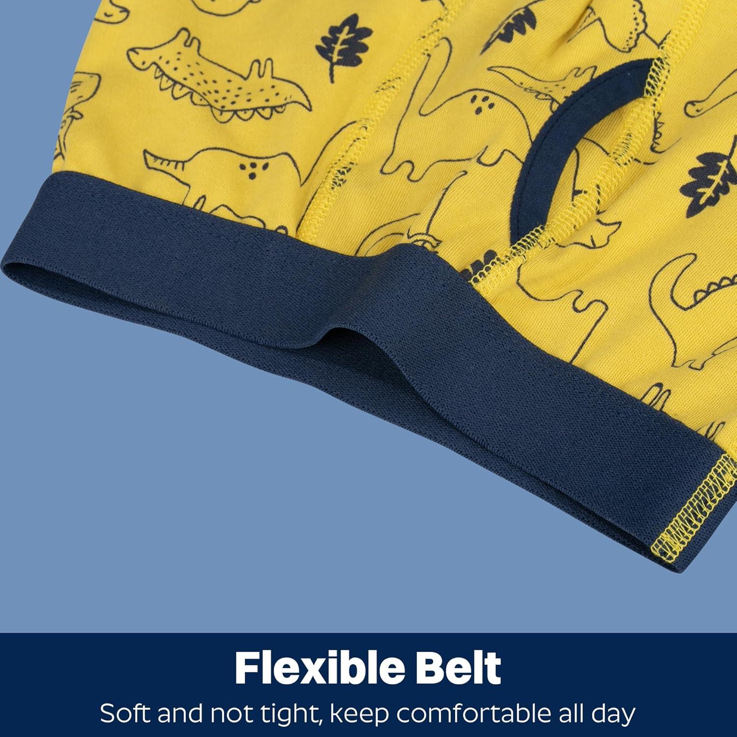 imageBIG ELEPHANT Boys Boxer Briefs 10Pack 100 Cotton Toddler Underwear Dinosaur and Car Print Soft Breathable Sizes 3T9YGray Dinosaur