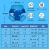 imageBIG ELEPHANT Baby Swim Diapers 3pcs Reusable Adjustable Washable Waterproof Swimming Diaper for Boys and Girls 6Months  5 YearsBlue Octopus