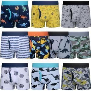 imageBIG ELEPHANT Boys Boxer Briefs 10Pack 100 Cotton Toddler Underwear Dinosaur and Car Print Soft Breathable Sizes 3T9YGray Dinosaur