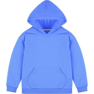 imageBIG ELEPHANT Boys Hooded Sweatshirt  100 CottonLightweight Long Sleeve Hoodie with Pocket for School ampamp Casual WearSky Blue