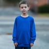 imageBIG ELEPHANT Boys Crewneck Sweatshirt  Cotton Long Sleeve Pullover for Kids Toddler to Teen School and Everyday WearSapphire Blue