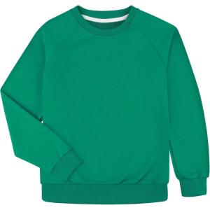imageBIG ELEPHANT Boys Crewneck Sweatshirt  Cotton Long Sleeve Pullover for Kids Toddler to Teen School and Everyday WearGreen