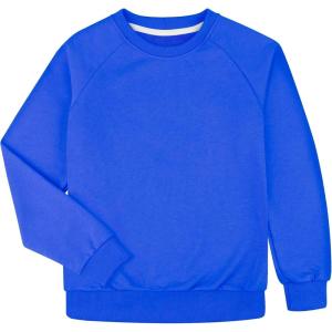 imageBIG ELEPHANT Boys Crewneck Sweatshirt  Cotton Long Sleeve Pullover for Kids Toddler to Teen School and Everyday WearSapphire Blue