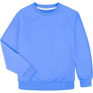 imageBIG ELEPHANT Boys Crewneck Sweatshirt  Cotton Long Sleeve Pullover for Kids Toddler to Teen School and Everyday WearSky Blue