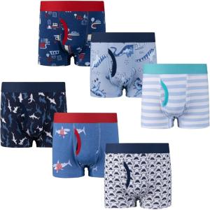 imageBIG ELEPHANT Boys Boxer Briefs 6Pack  100 Cotton Toddler Underwear Soft ampamp BreathableBlue Dinosaur