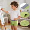 image:imageBIG ELEPHANT Boys Boxer Briefs 10Pack 100 Cotton Toddler Underwear Dinosaur and Car Print Soft Breathable UnderpantsBright Solid Colors