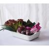 imageLe Creuset Stoneware Heritage Set 3 Rectangular Dishes PecheWhite